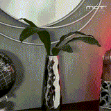 CREMA ANTIEDAD MDT MEN™ - REJUVENECE AL INSTANTE